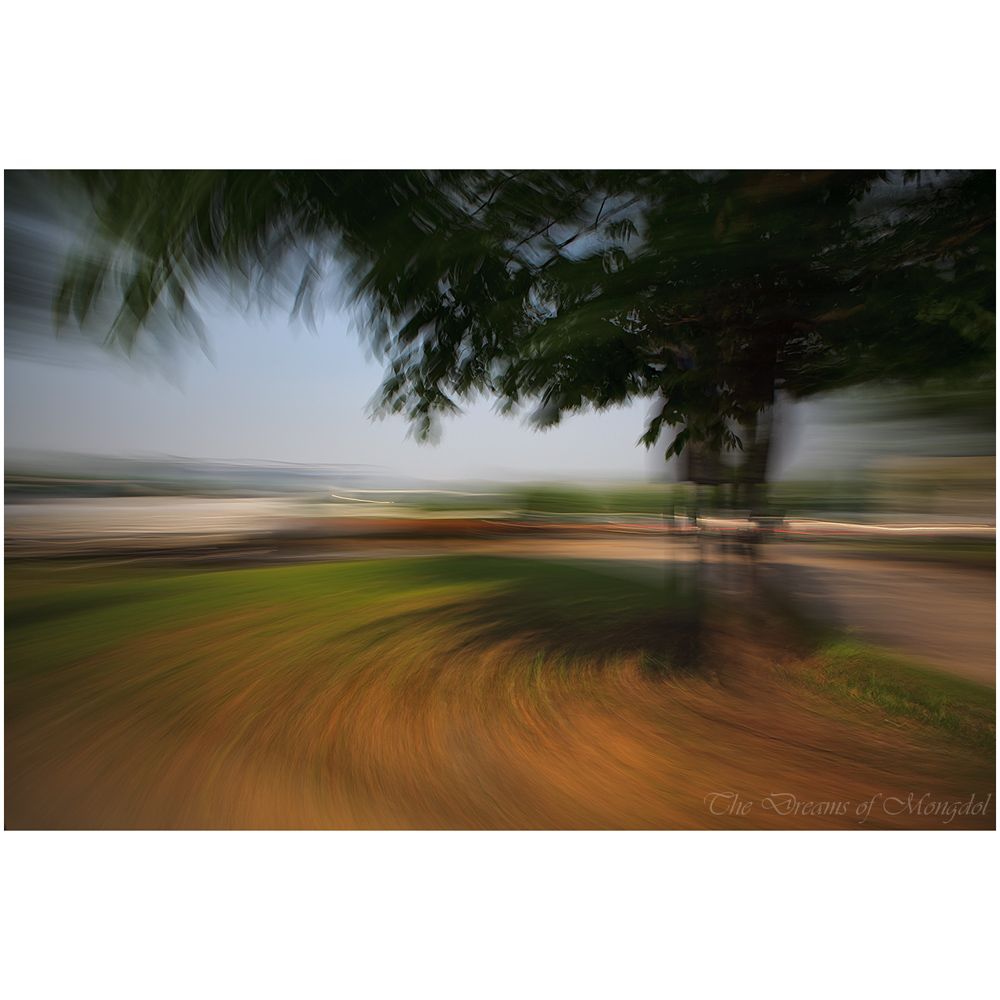 gallery_image